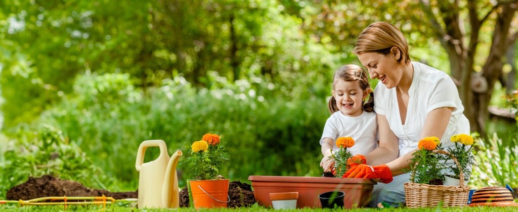 Dicas de Primavera: como começar seu jardim?